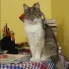 Отзыв от Оксана Беспалова